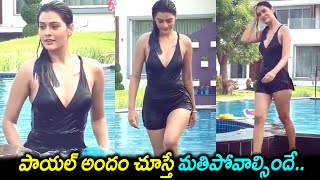 Actress Payal Rajput Latest Swimming Pool Video || Payal Rajput Cute Videos || Silver Screen