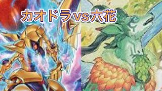 征竜カオスドラゴンvs六花　遊戯王マスターデュエル