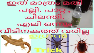 ഇത് ഒന്ന് മാത്രം മതി വീടിനകത്ത് പല്ലി, പാറ്റ, ചിലന്തി ,എലി ഒന്നും വരില്ല|Useful Tips|Bindu's World