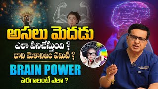 మనిషి మెదడు ఎలా పనిచేస్తుంది ? - Neurologist Dr Jaiswal About Brain Mechanism and How It Works | THF