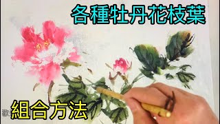 #43 各種牡丹 花 枝 葉 的組合畫法   Various combinations of peonies  牡丹のさまざまな組み合わせ  모란의 다양한 조합