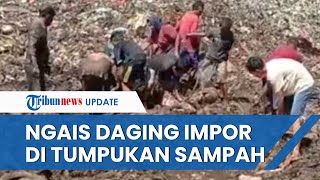 Viral Video Warga di Riau Serbu Tumpukan Sampah TPA, Berebut Daging Impor yang Dimusnahkan Bea Cukai