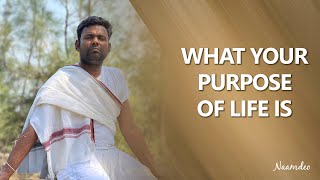 ACCEPTANCE | WHAT YOUR PURPOSE OF LIFE IS | Shorts | Naam Deo