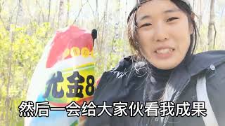 塔头甸子找野菜，渴了就喝山泉水，娘仨收获满满！