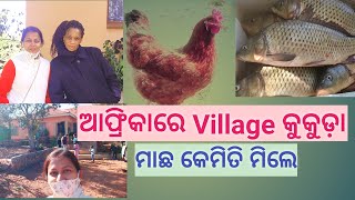 Sunday Vlog | ଚାଲିଲୁ ଆଫ୍ରିକା Village ରୁ କୁକୁଡ଼ା ପାଇଁ | Odia Family In Africa |Africa odia vlog