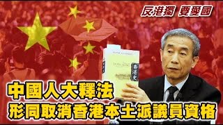 北京毀諾 釋法打壓港法治 逾2議員恐失格 | 台灣蘋果日報