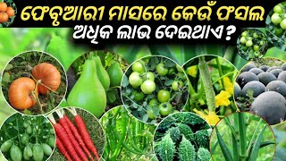 ଫେବୃଆରୀ ମାସରେ କେଉଁ ଫସଲ ଅଧିକ ଲାଭ ଦେଇଥାଏ ? ଆମ ଚାଷବାସ February Month Crops #ଆମଚାଷବାସ