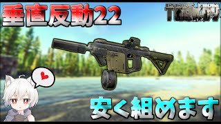 【タルコフ】超低反動で高コスパ！今期も強い白ベクターのカスタム紹介!!【EFT】