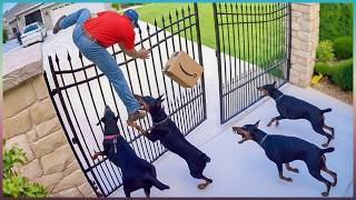When Thieves Rob The WRONG House!