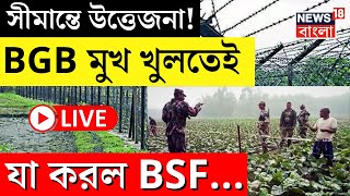 Bangladesh News LIVE | India Bangladesh Border এ উত্তেজনা! BGB মুখ খুলতেই যা করল BSF... | News