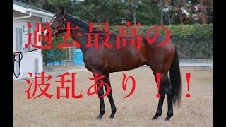 フェブラリーステークス 2022 予想 おいしい穴馬 実績馬が侮られており馬券的に大チャンス！！