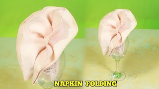 DOUBLE LEAF NAPKIN FOLDING IN THE GLASS #TUTORIAL