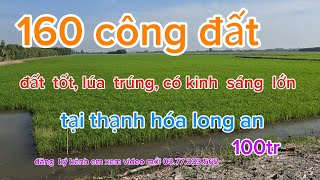 Bán lô đất lớn  16 mẫu tại thạnh hóa long an #batdongsan #datgiare # nghiệp  bds 62