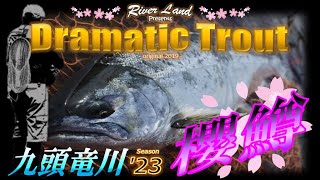 サクラマス 九頭竜川 2023　初日初っ端のドラマ ～ドラマティックトラウト ♯53