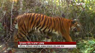 নভেম্বরে শুরু হতে যাচ্ছে সুন্দরবন বাঘ সংরক্ষণ প্রকল্প