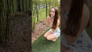 Bamboo Privacy Fence Update