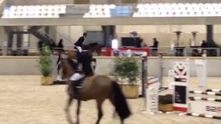 Kaprice: Arko III x Quidam de revel x Calvaro Z x Heartbrea