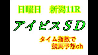 アイビスＳＤ　2021　競馬予想