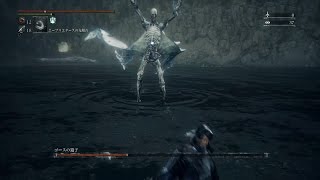 【ブラッドボーン】DLC カンスト  ゴースの遺子 パイル死闘 Bloodborne