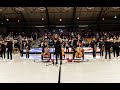 Joyous String Ensemble performs Vivaldi's Summer - Harvard University Halftime Show