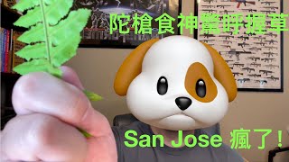 握草！疯了!？加州圣荷西市(San Jose) 最新强制性枪械法通过 离你越近的政府政策对你影响越大越快