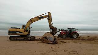 Trabajos de retirada de la ballena muerta en Sopela