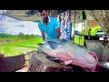 OMG !!! 17.5KG Huge Catla Fish Cutting Only 7 Minutes