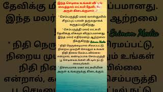 #மஹாலக்ஷ்மி அருள் கிடைக்க #ஆன்மீகம் #வாஸ்து #ஆன்மீகதகவல் #shorts #செம்பருத்தி #செல்வம்பெருக  #vaastu