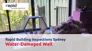 Rapid Building Inspections Sydney - Water-Damaged Wall