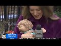 Toy Association Talks 1980s Cabbage Patch Kids Toy Craze on WCBS