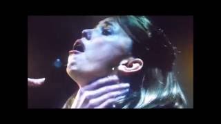 Multiwitches-Devil Within