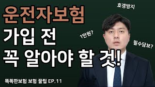 운전자보험 가장 현명하게 가입하는 노하우 제1편 [필수 담보 편]