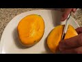 Taste Testing the Carrie Mango