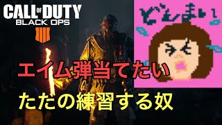 女性実況　CODBO4 AIM教習とマルチ　少しだけ練習