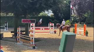 Ciana Z (CANTERBURY x LAKE BID) 7 years old mare in competition