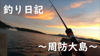 釣り日記　～周防大島～　夏の終わりの周防大島遠征　ヤリイカ狙いのはずが・・・