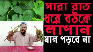 গুলঞ্চ লতার উপকারিতা গুলঞ্চ লতার ঔষধি গুণাগুণ  গিলয় লতা  gulancha lata upokarita