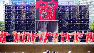 [4K] よさこい連「わ」　こいや祭り 2024 土曜日