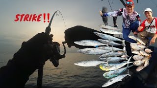 🔴 STRIKE IKAN TENGIRI BERTUBI TUBI ‼️ MANCING DI SPOT LUMPURAN , BATANG