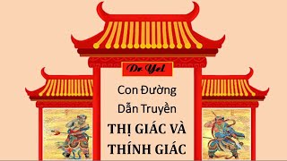 Đường dẫn truyền thị giác và thính giác | Ý nghĩa đằng sau các cấu trúc giải phẫu | DR YEL