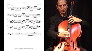 Flying Pizzicato Lessons with Stephen Katz