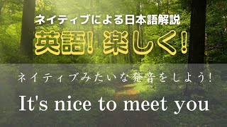 超簡単 英語! 楽しく! 【ネイティブによる日本語解説】It's nice to meet you |英会話|ネイティブ発音|ポイント解説