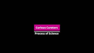 Curious Curators Ep.1