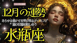 🌹🕊2024年12月の運勢【水瓶座】お仕事・人間関係＆恋愛・金運🗝️🌹#水瓶座