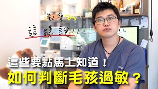 【獸醫這樣說】怎麼毛孩突然就過敏了？這些事你一定要知道│愛寶寵新知 AIPAWs X 保健知識家