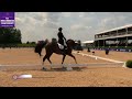 re live intermediate ii u25 team competition fei north american youth championships 23 dressage