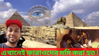 Pyramids of Egypt। রহস্যে ঘেরা গিজা পিরামিড। Sphinx। Vlog-02