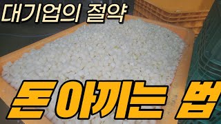 대기업에서 야채를 처리하는 방법 Feat. 과채류압축기 / How to Treat Vegetables in Large Enterprises