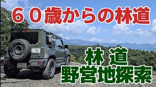 【#ジムニー 林道】６０歳からの林道 林道と野営地探索