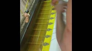 Manual Extra weft insertion for making spot design during weaving.